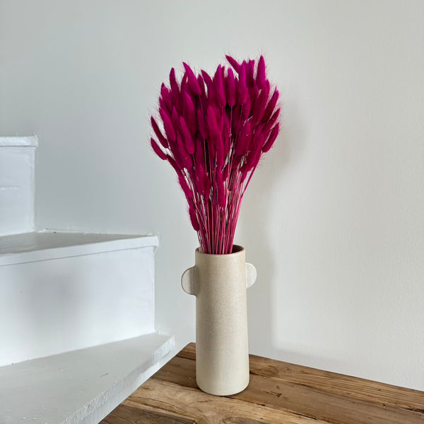 Flowrette Fleurs séchées Lagurus magenta botte rose