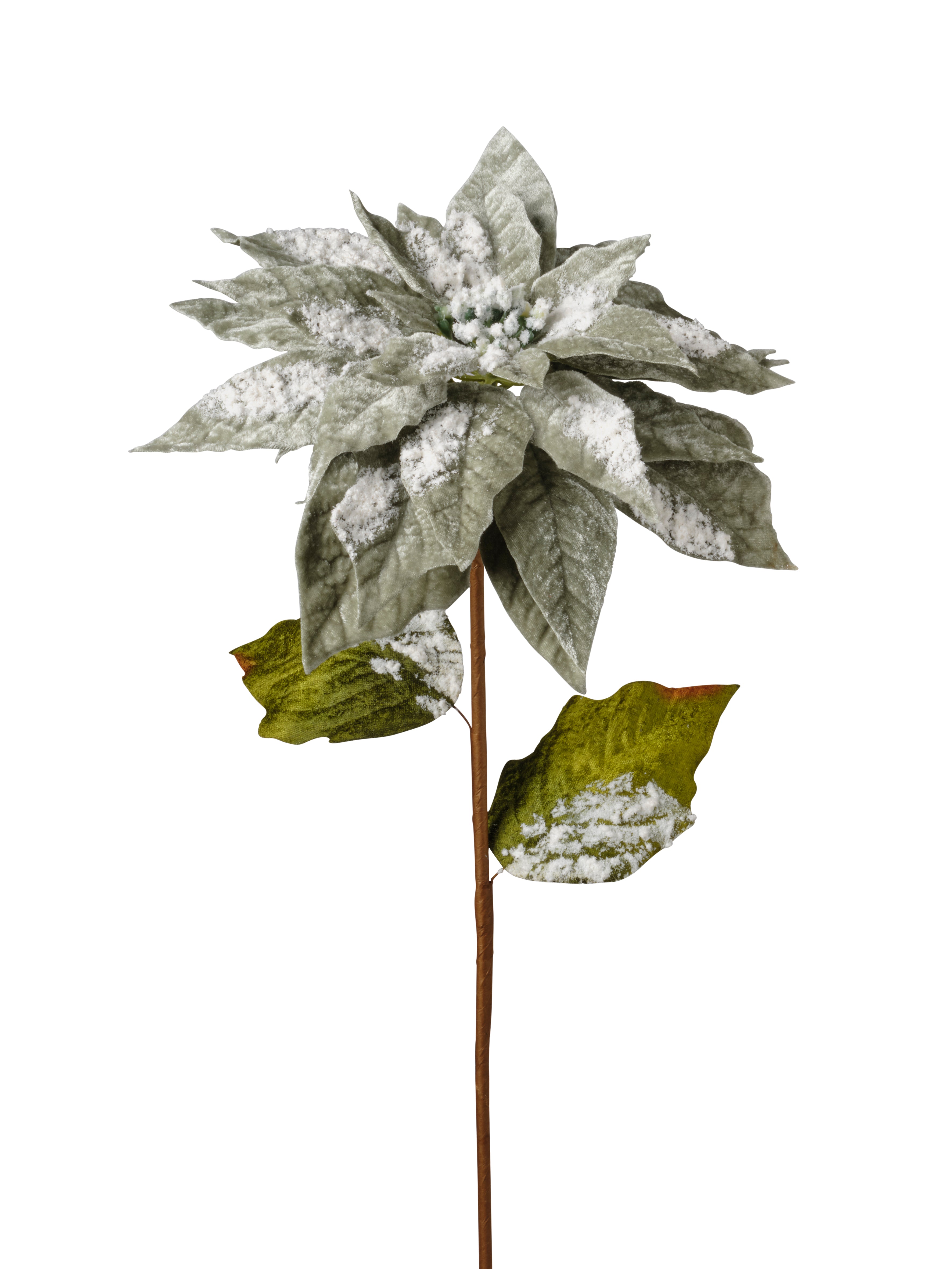 Feuillazur Rungis Produits de saison Tige poinsettia fleur artificielle vert Noël