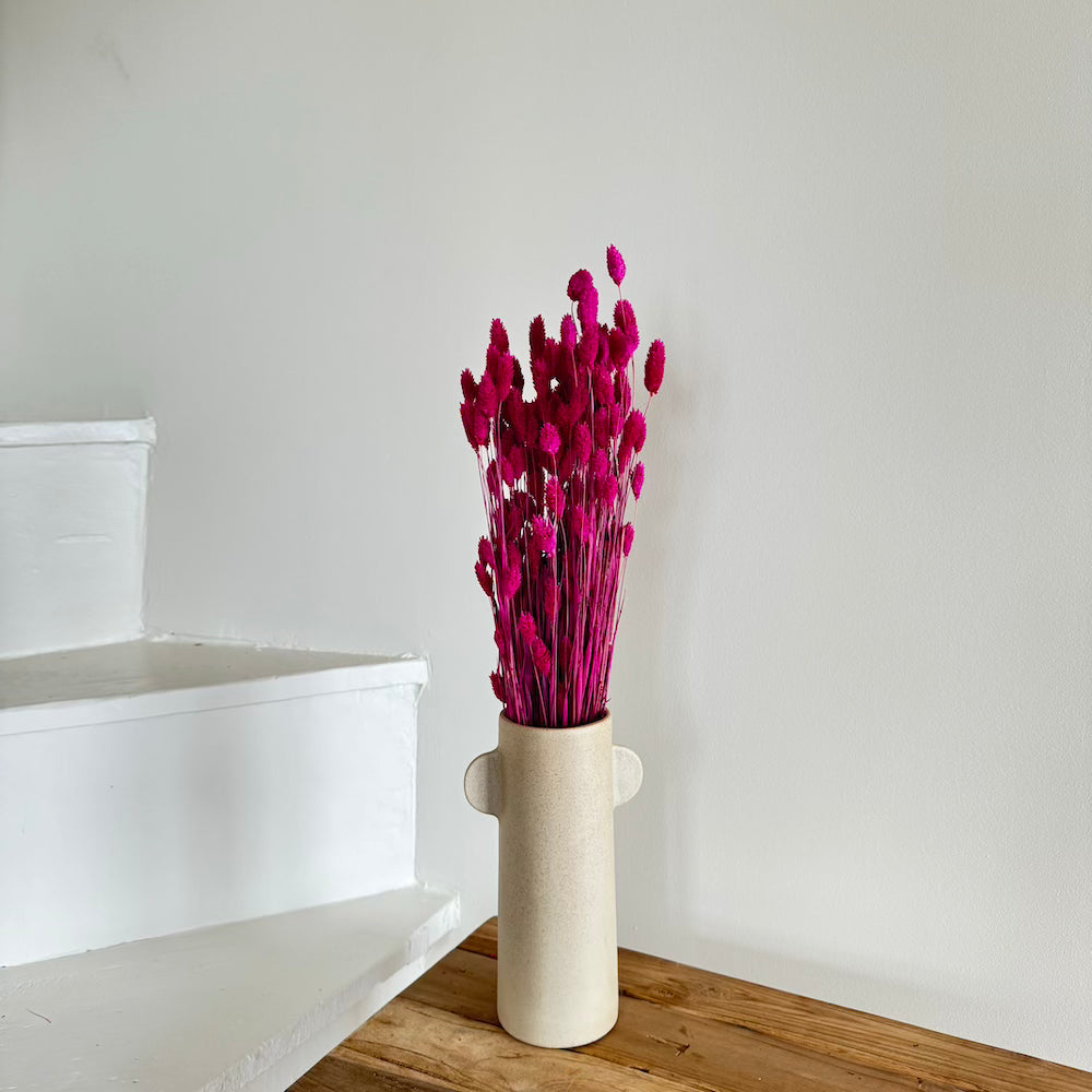 Flowrette botte phalaris magenta fleurs séchées