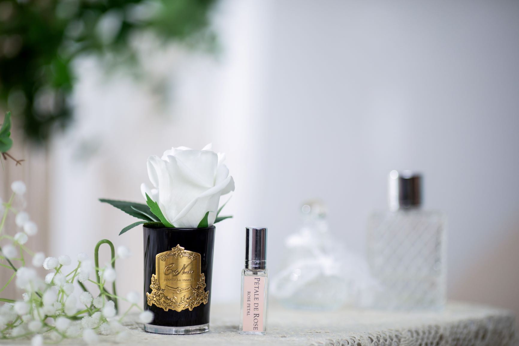 Côte Noire bouton rose ivoire vase noir GMRB41