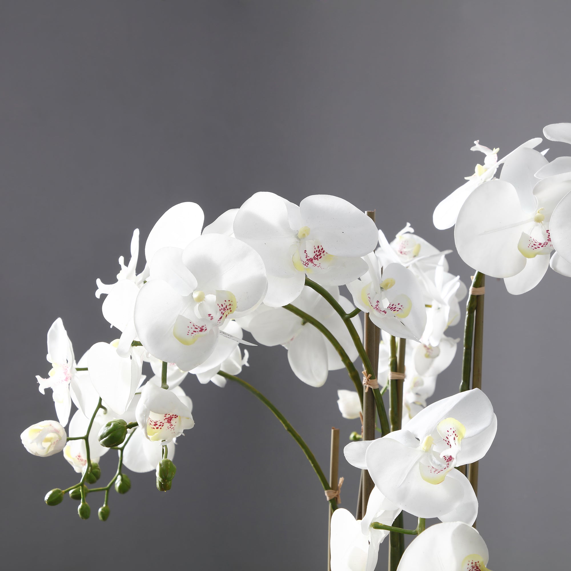 Sia orchidée artificielle terre 85 cm blanc