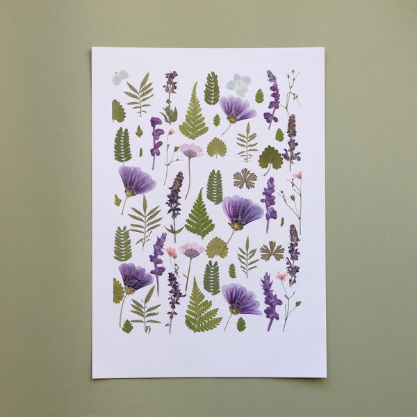 Flowrette Fleurs séchées Herbarium Plant Symphony A4 pressé