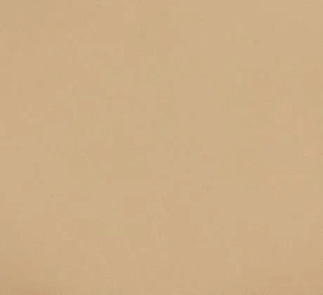 Feuillazur Rungis moquette beige décorative 1m salon bureau
