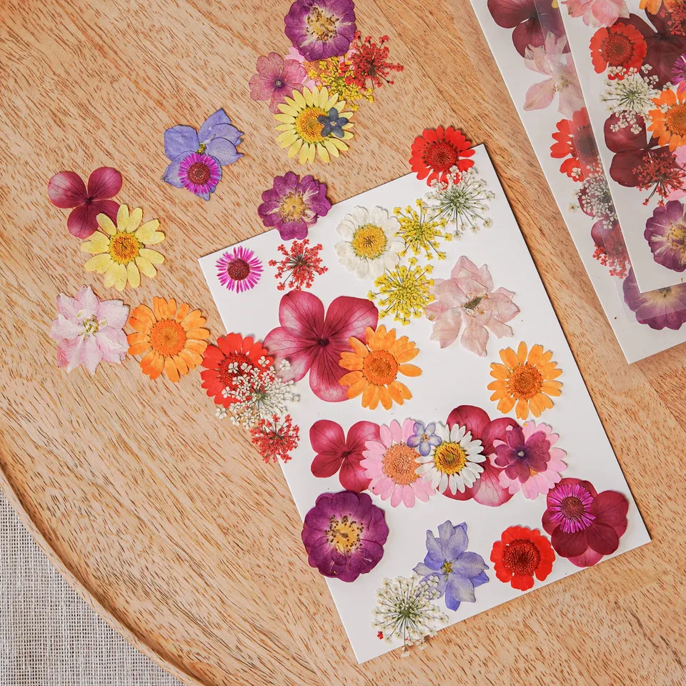 Flowrette Loisirs créatifs pochette fleurs pressées multicolores kit