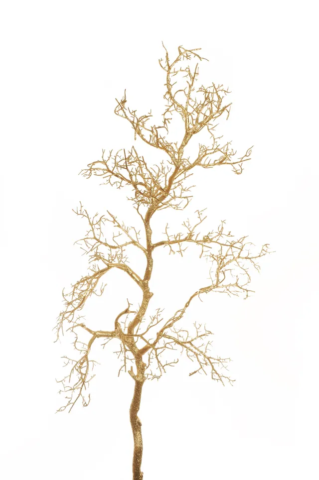 Feuillazur Rungis Produits de saison Branche manzanita 96 cm