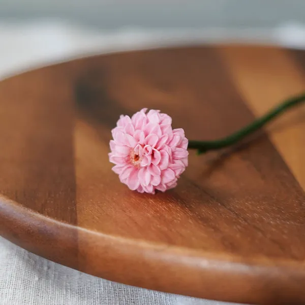 Flowrette dahlia stabilisé rose pâle fleur séchée sans entretien