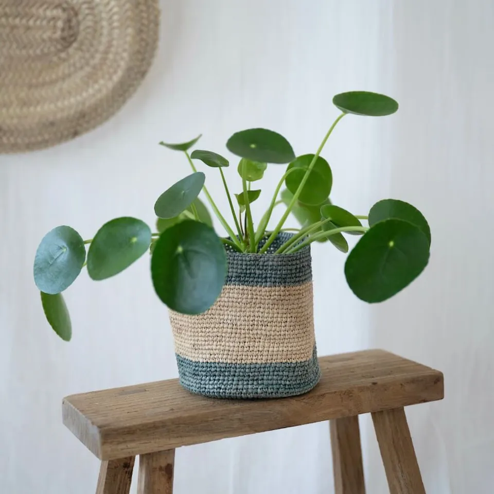 Flowrette Mahala cache-pot raphia naturel 14 cm