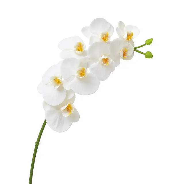 Sia Home Orchidée tige artificielle blanche 72 cm