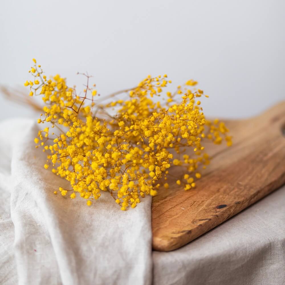 Flowrette gypsophile jaune botte fleurs séchées stabilisée x1