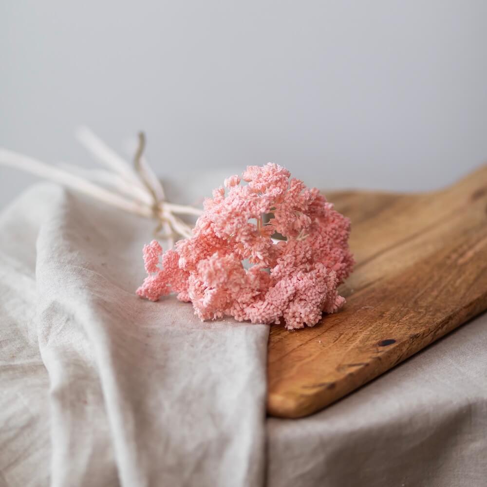 Flowrette Achillées Roses botte stabilisée x1