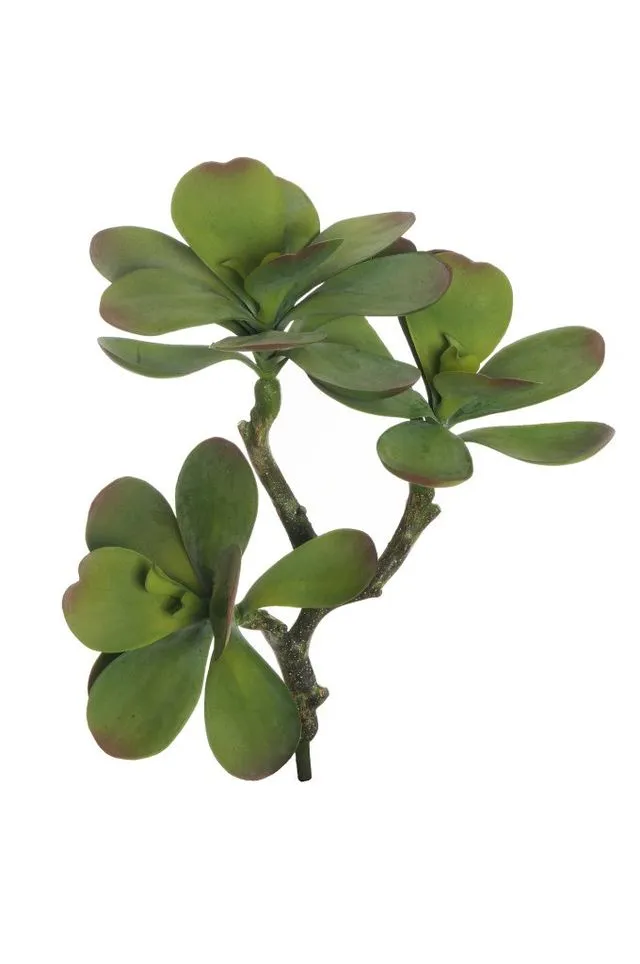 Feuillazur Rungis Cotylydon feuillage artificiel vert 18x37cm