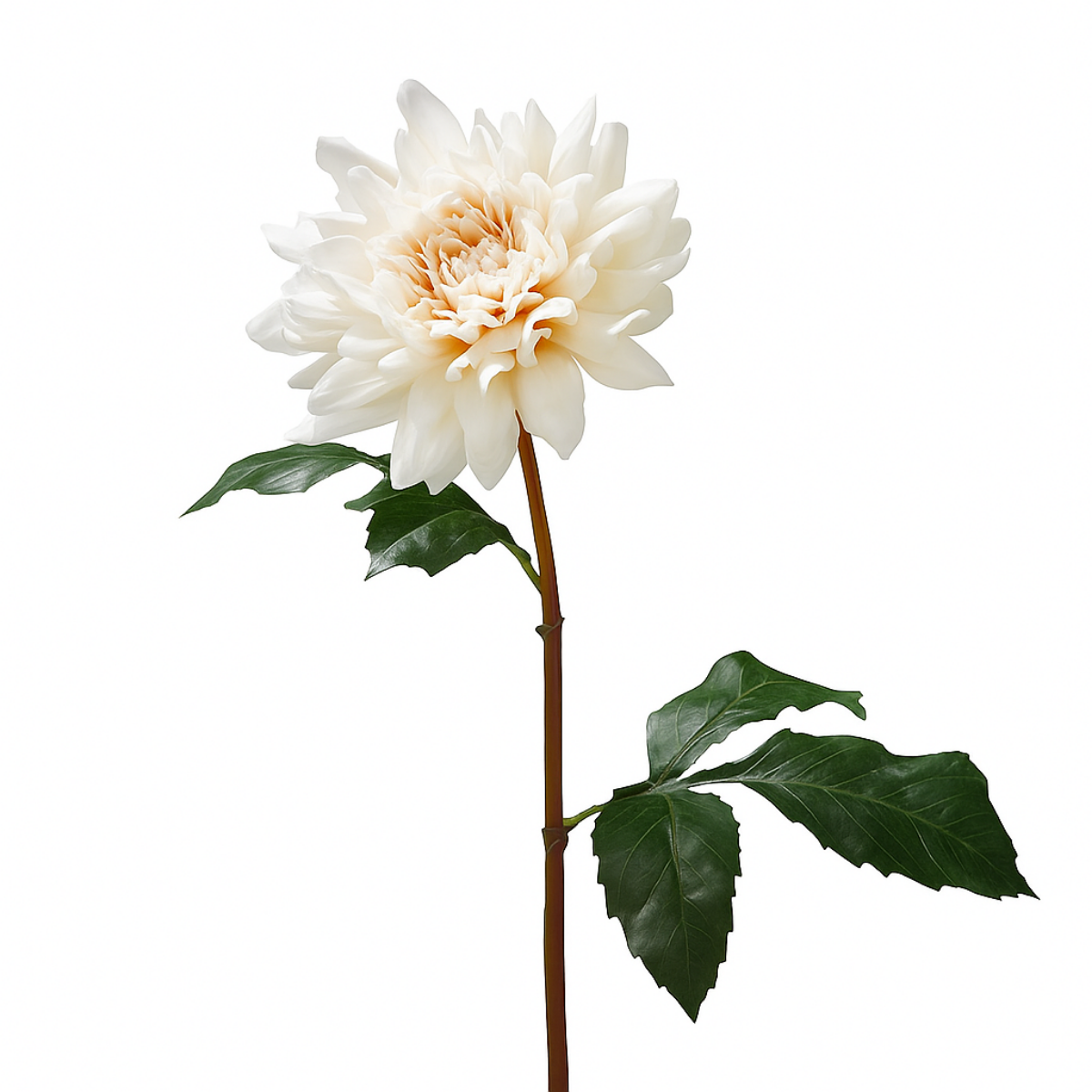 Sia Home Tige Dahlia Premium 50cm fleur artificielle rose