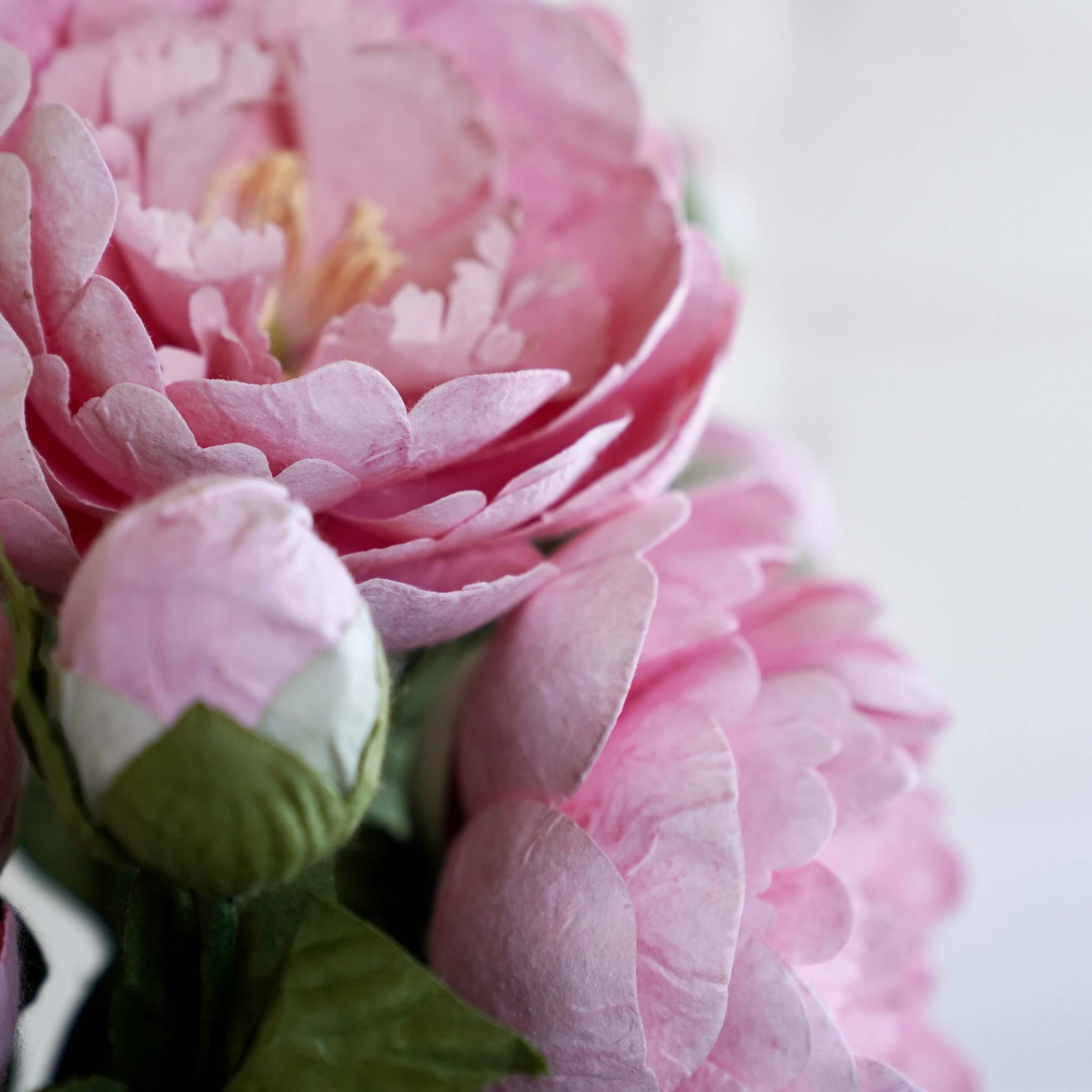 Flowrette Grande pivoine fleur papier rose clair x1