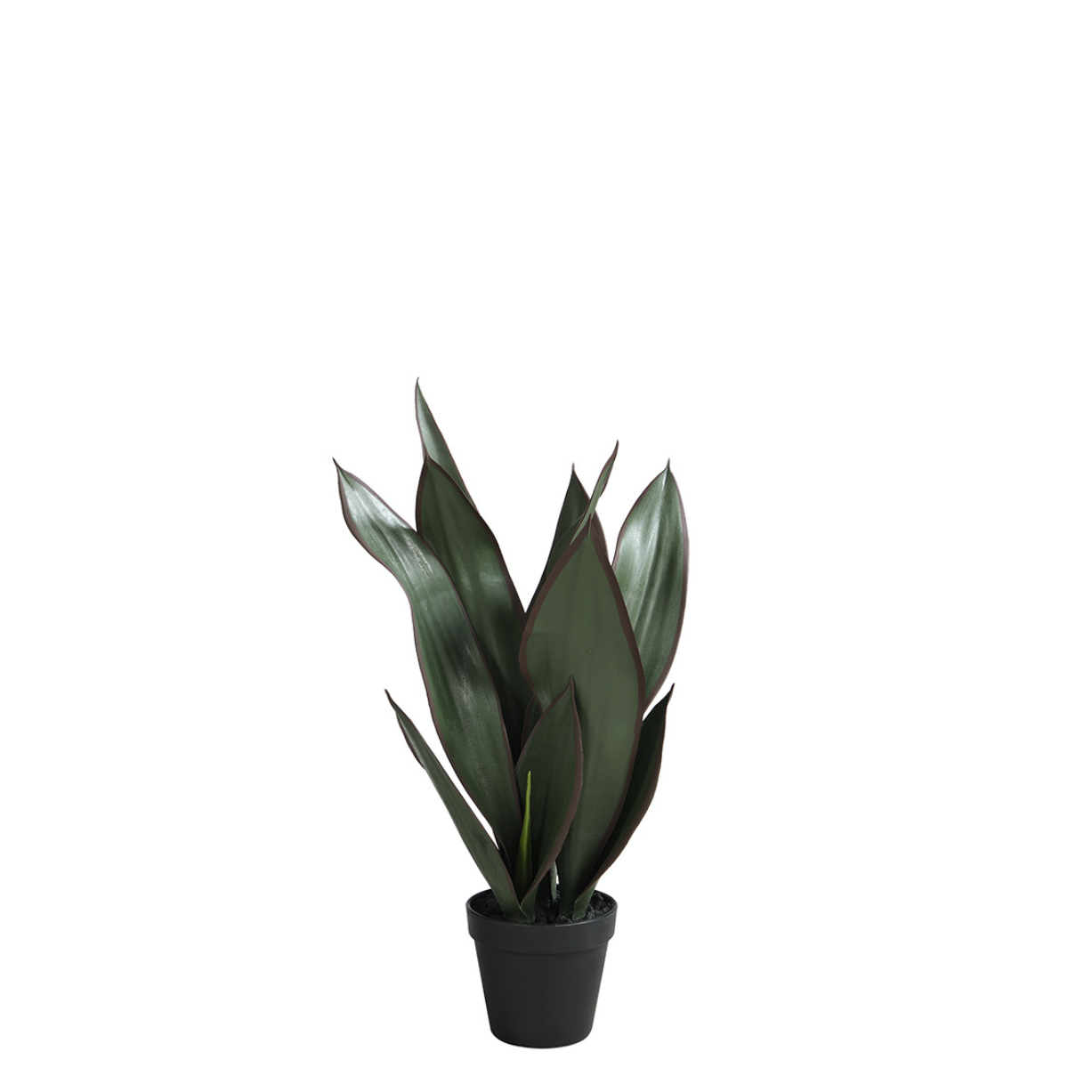 Sia Home Sansevieria en pot 49 cm plante verte