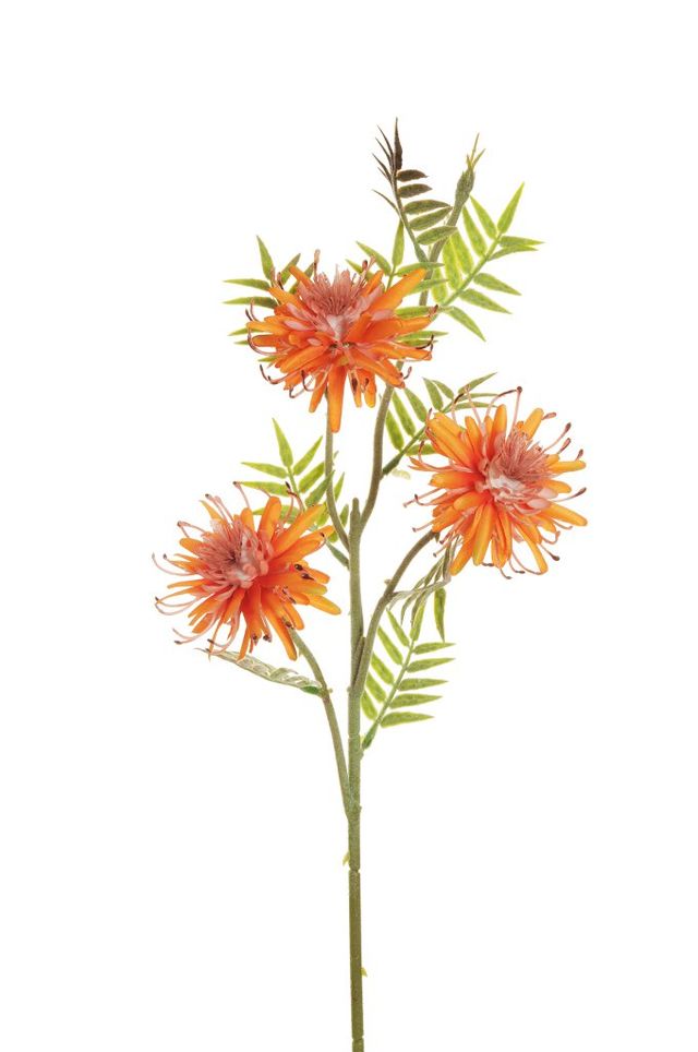 Feuillazur Rungis Grevillea fleur artificielle orange 66 cm