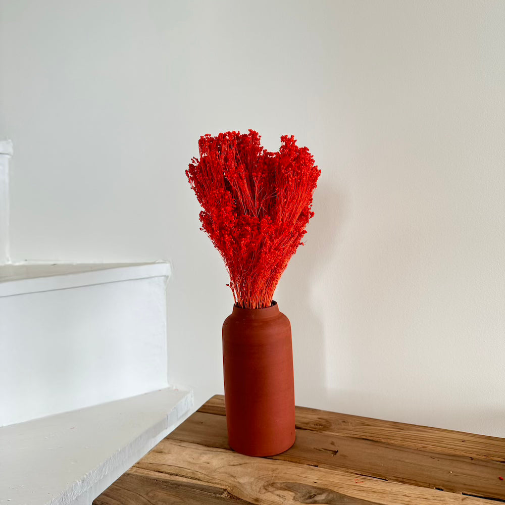 Flowrette botte broom bloom orange foncé x1