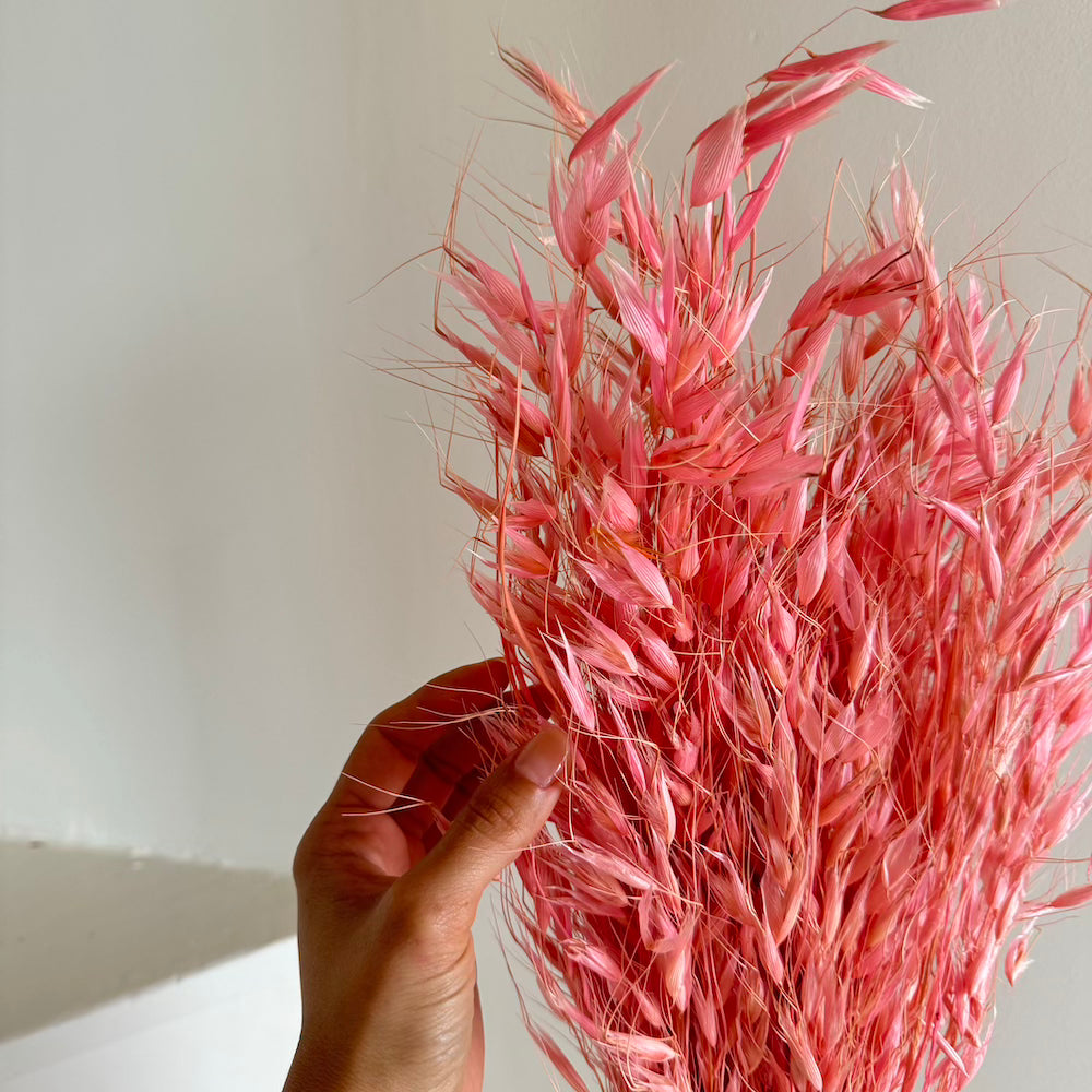 Flowrette Avoine botte séchée vieux rose x1