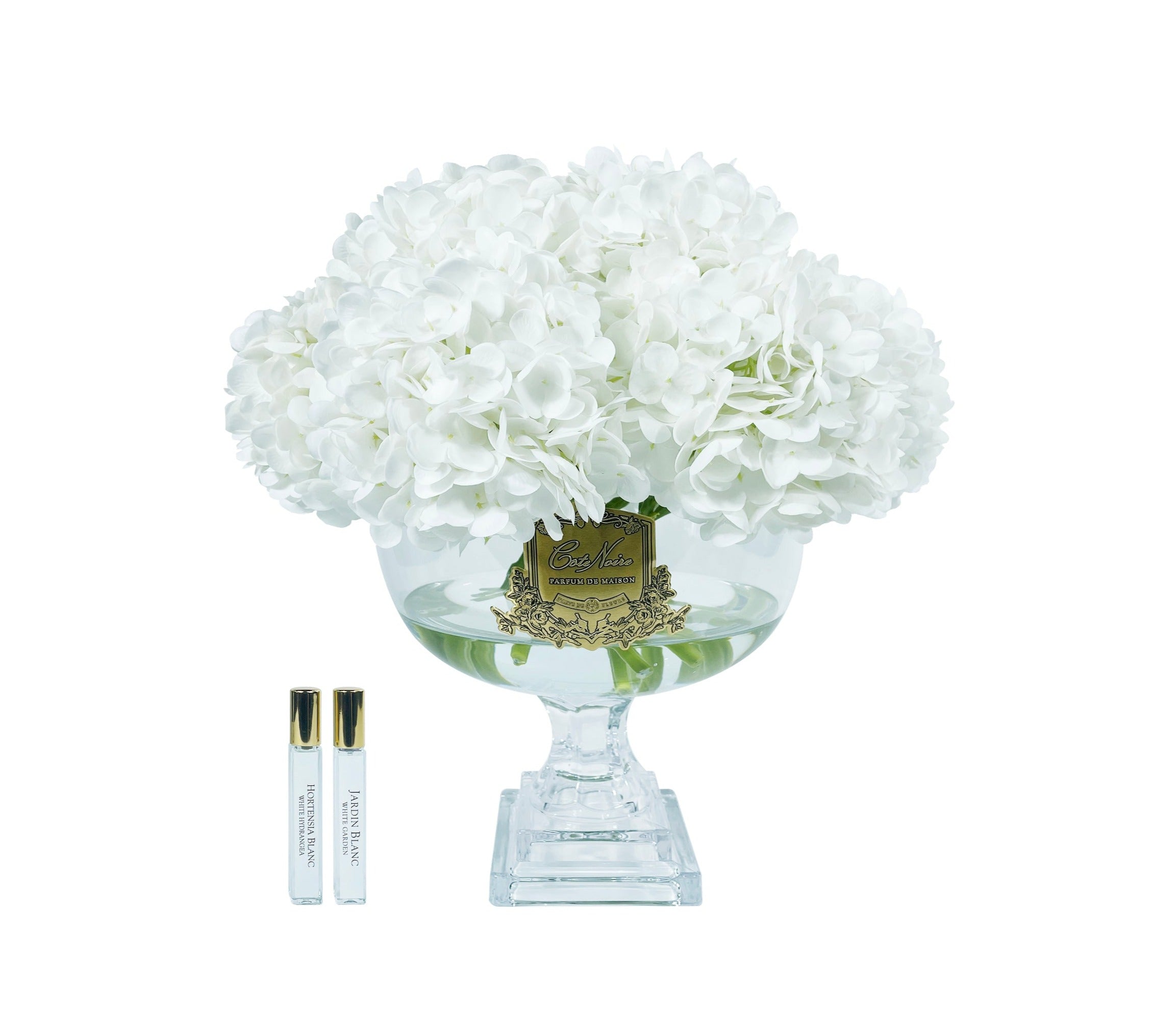 Côte Noire Hydrangeas Provence bouquet hortensia blanc fleur parfumée large