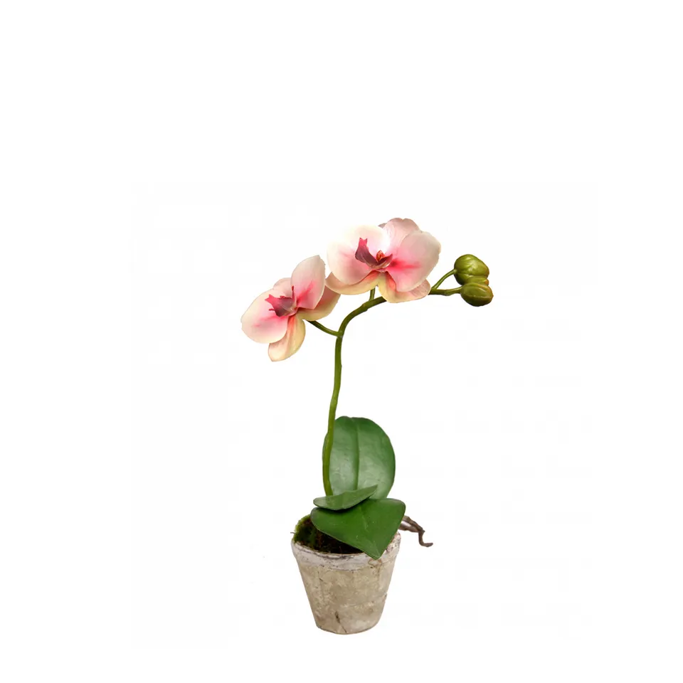 Sia Home Sina composition orchidée artificielle rose 28 cm