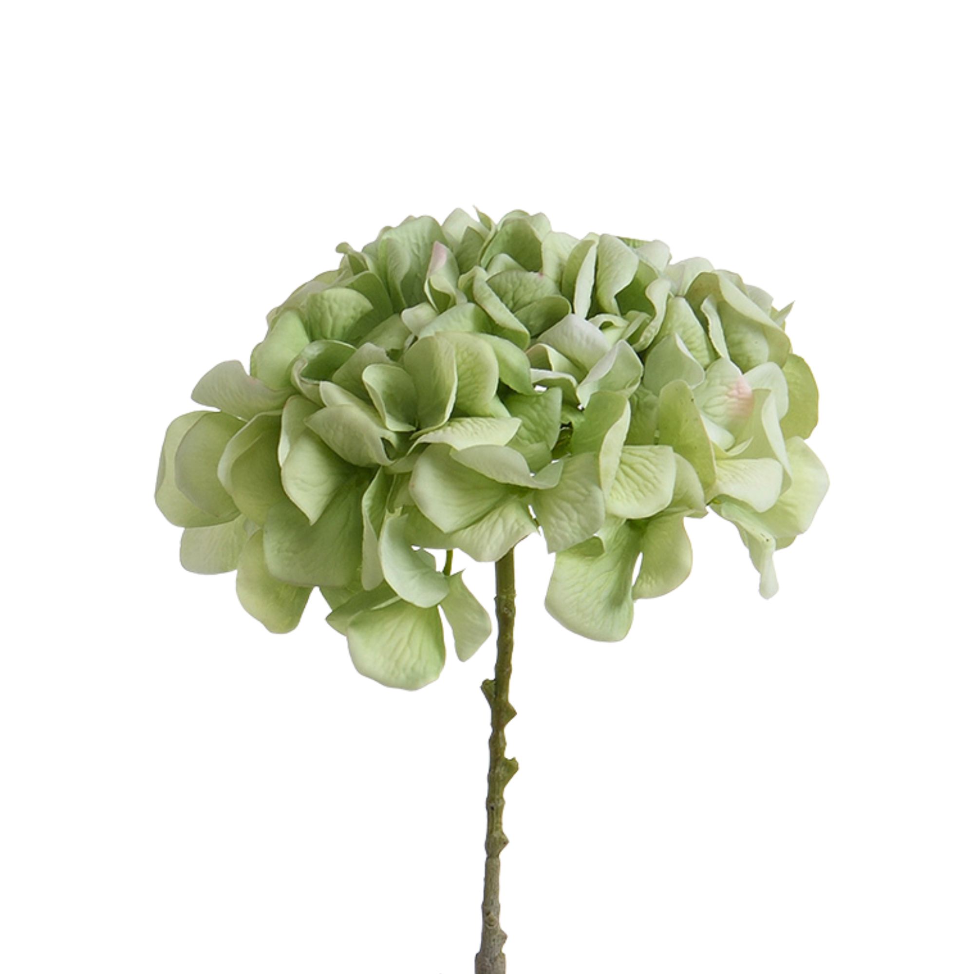 Sia Home Tiges Hortensia 63 cm fleur artificielle vert