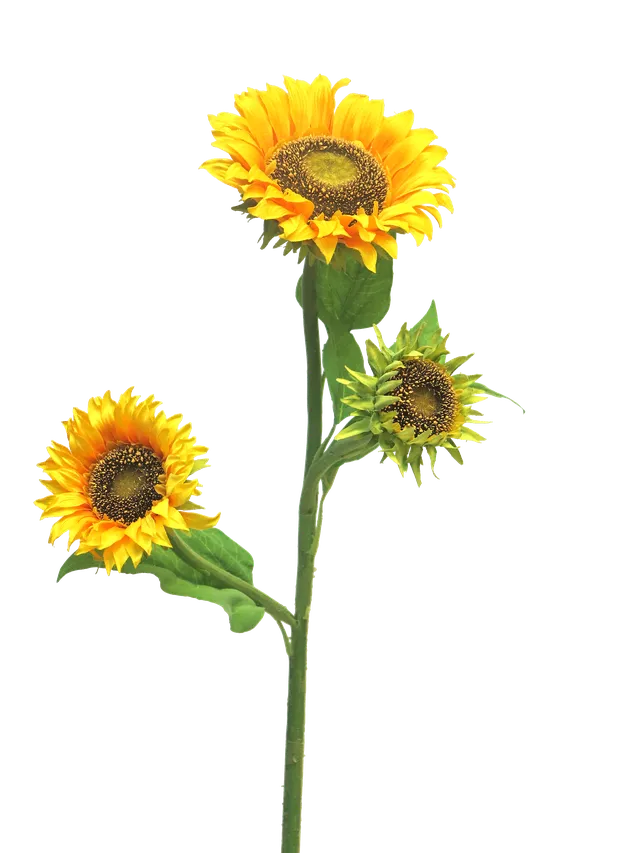 Feuillazur Rungis Branche de tournesols artificielle 85cm jaune