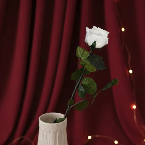 Flowrette rose blanche fleur stabilisée sans entretien