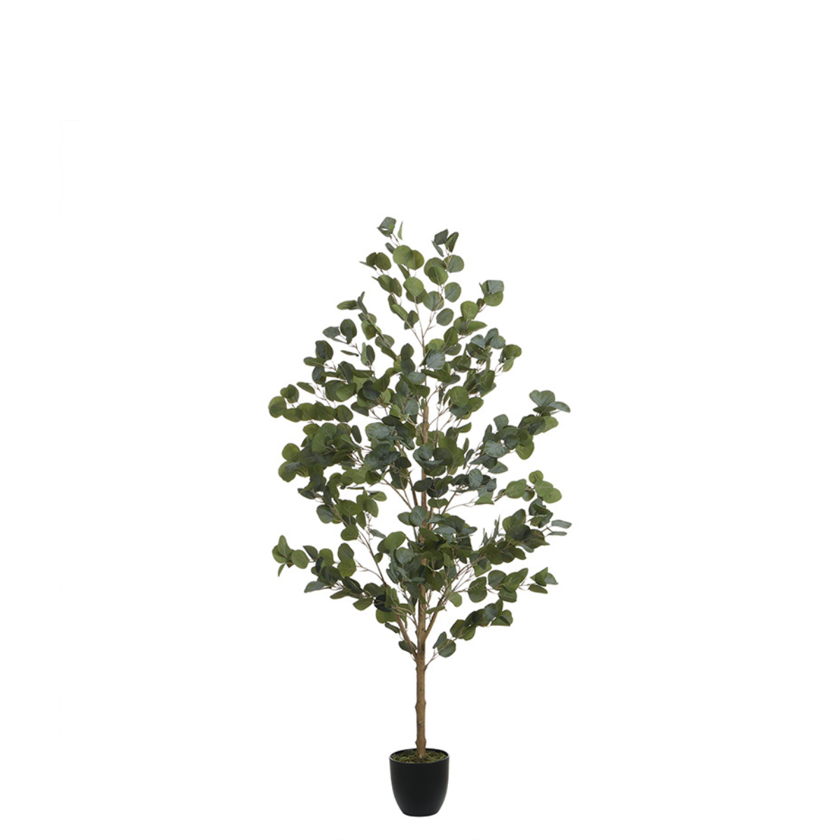 Sia Home Eucalyptus arbre artificiel vert 150 cm en pot