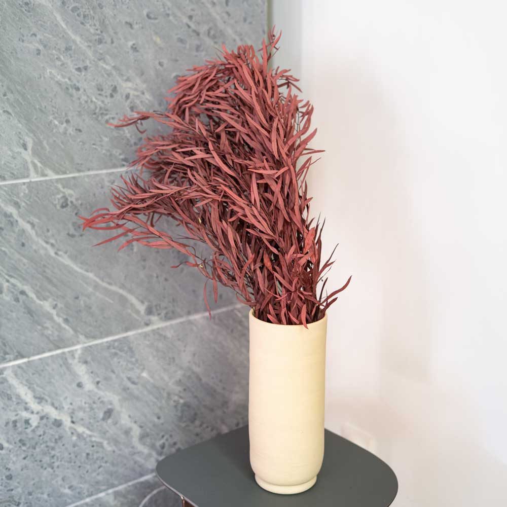 Flowrette Eucalyptus Nicoli Rouge fleur stabilisée botte rouge