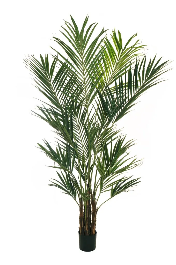 Feuillazur Rungis Kentia palmier artificiel vert 180 cm