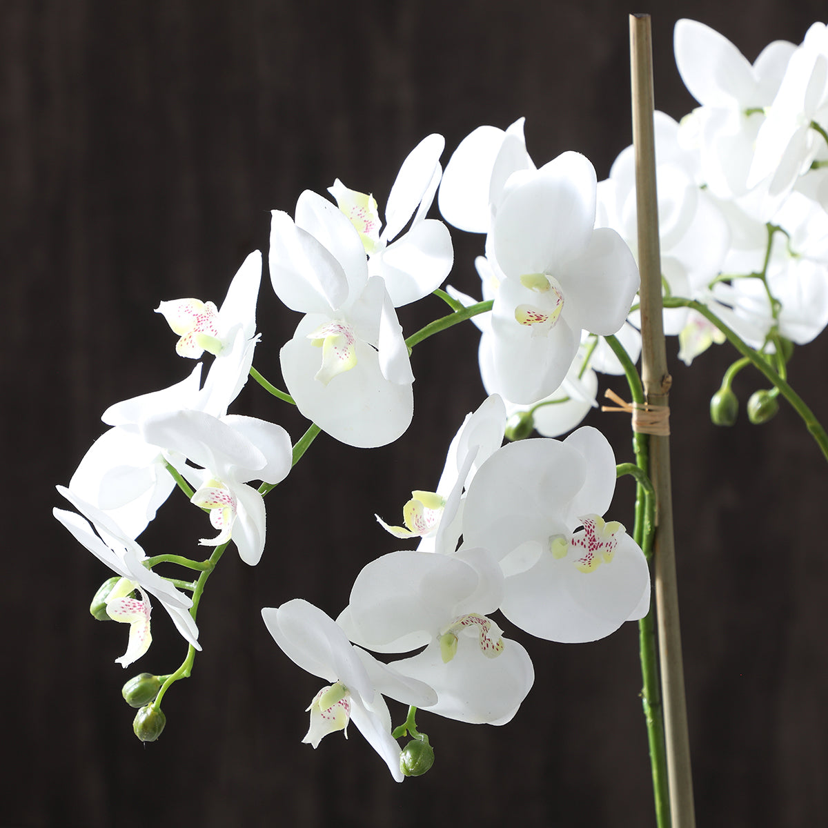 Sia Lena composition orchidée artificielle blanc 72 cm