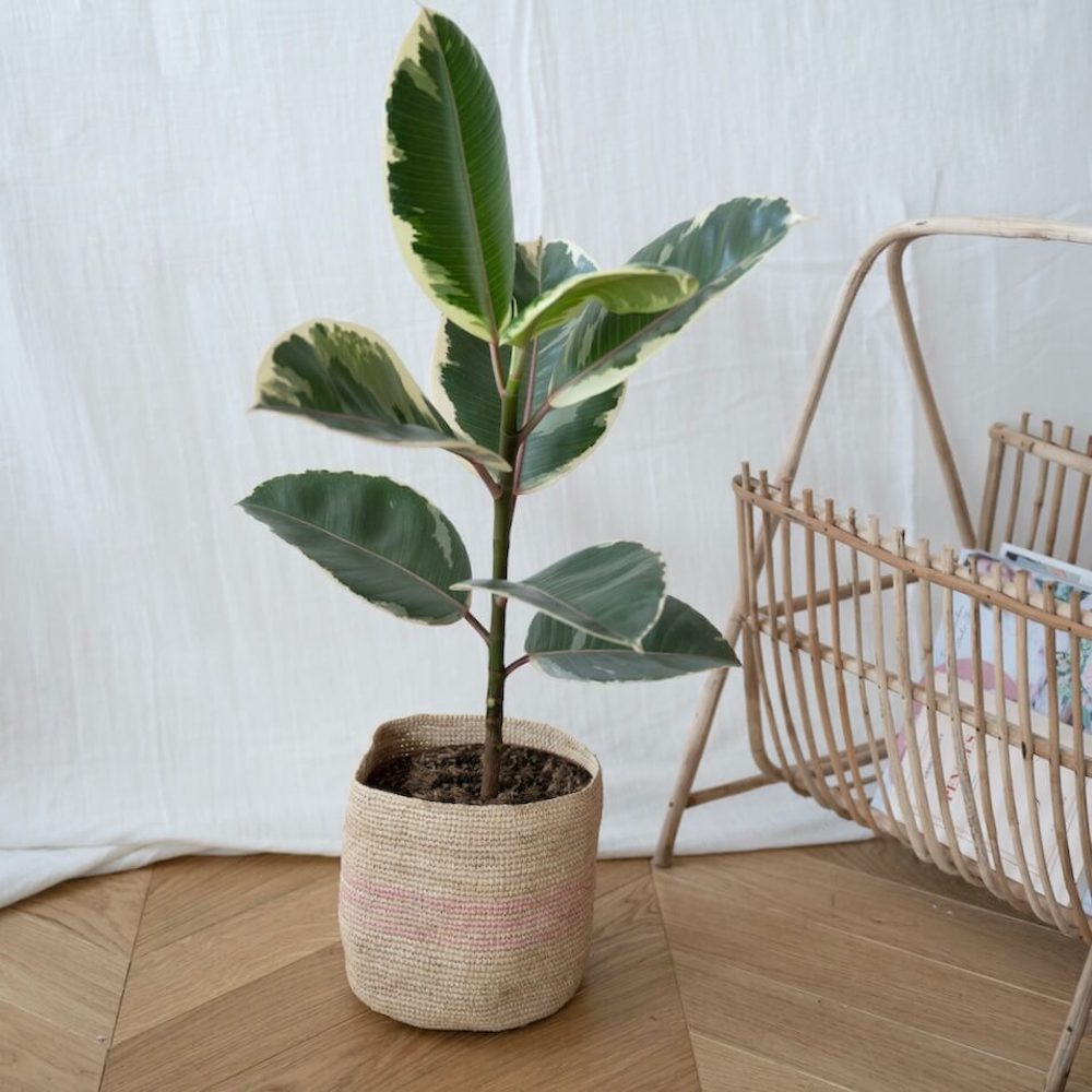Flowrette Décoration cache-pot Raphia Anja fait main
