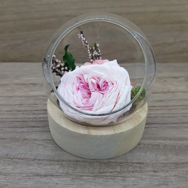 Ateliers Ouchamp Bulles Place des Ternes bulle rose 1 stabilisée