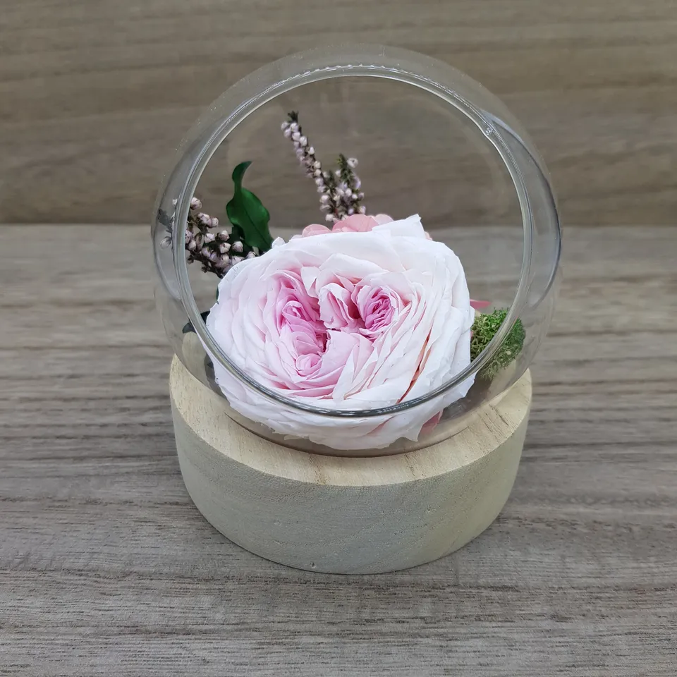 Ateliers Ouchamp Bulles Place des Ternes bulle rose 1 stabilisée