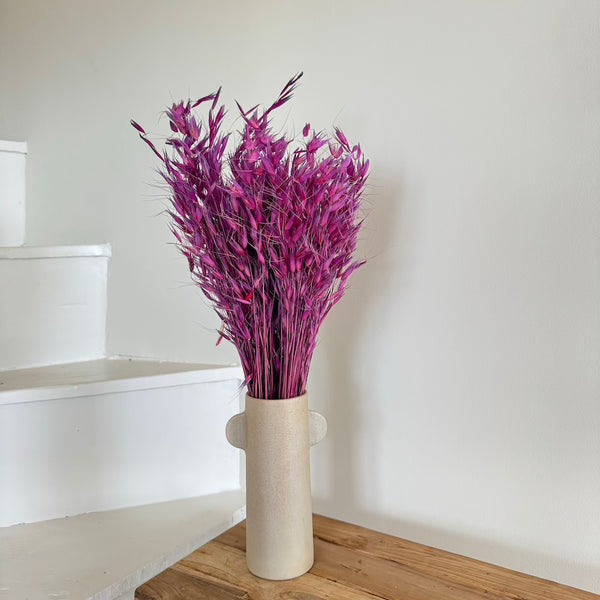 Flowrette Fleurs séchées Avoine violette botte