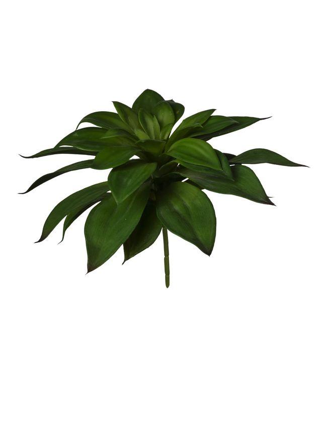 Feuillazur Rungis Plante grasse plante artificielle verte 19cm