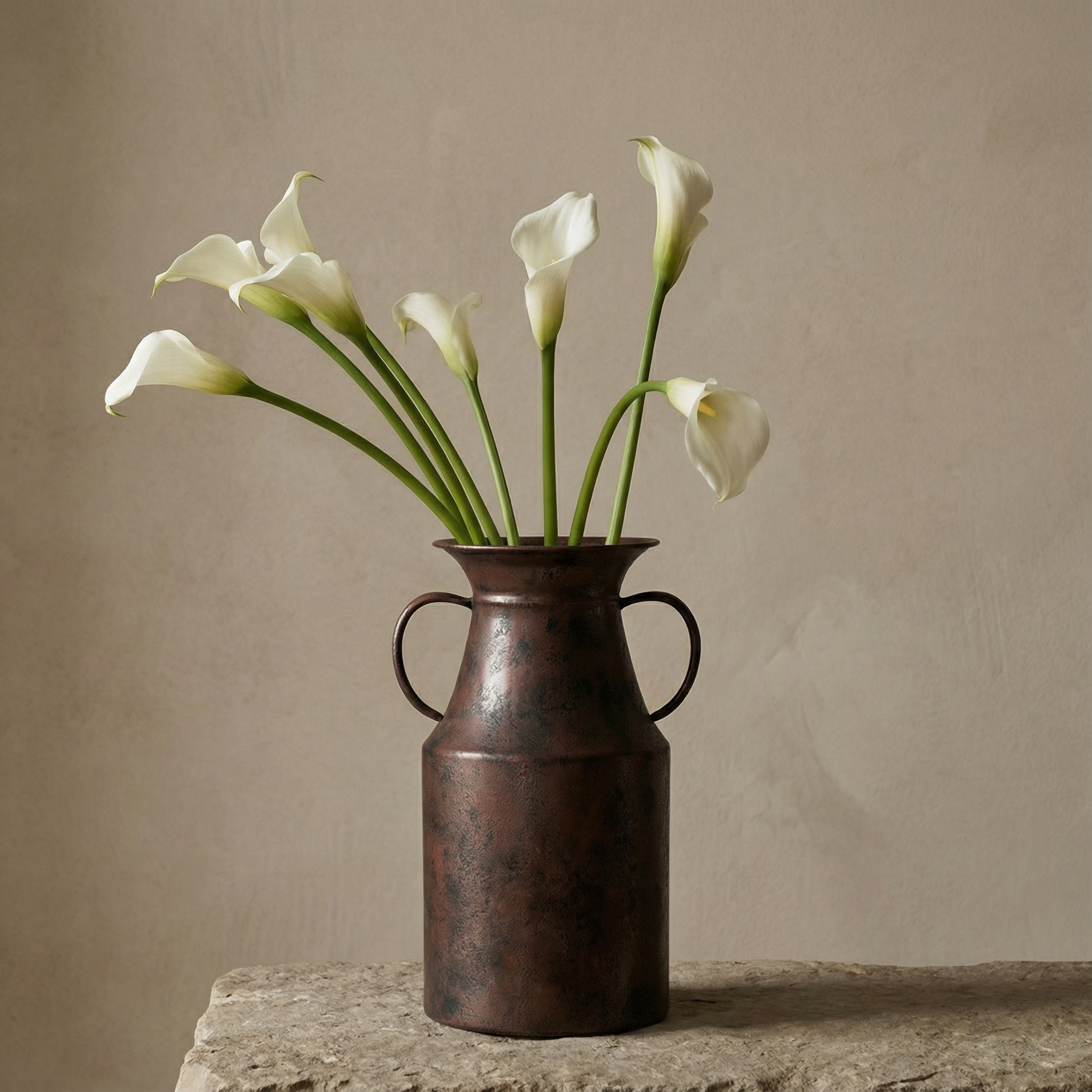 Sia Home Arka vase métal marron 25 cm