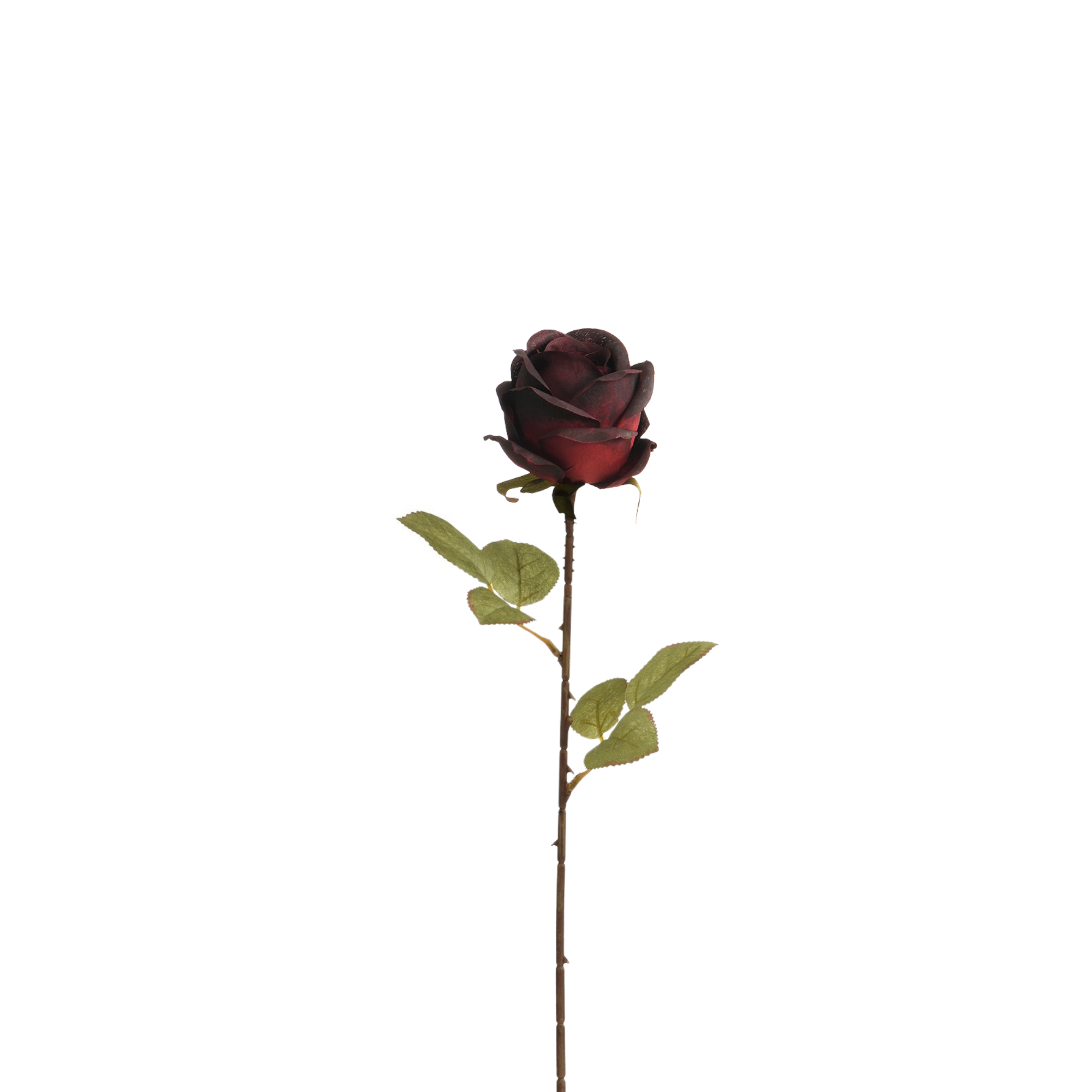 Sia Home Tige de Rose fleur artificielle rose 56 cm