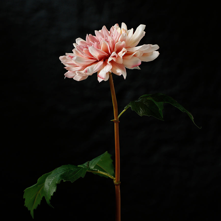 Sia Home Tige Dahlia Premium 50cm fleur artificielle rose