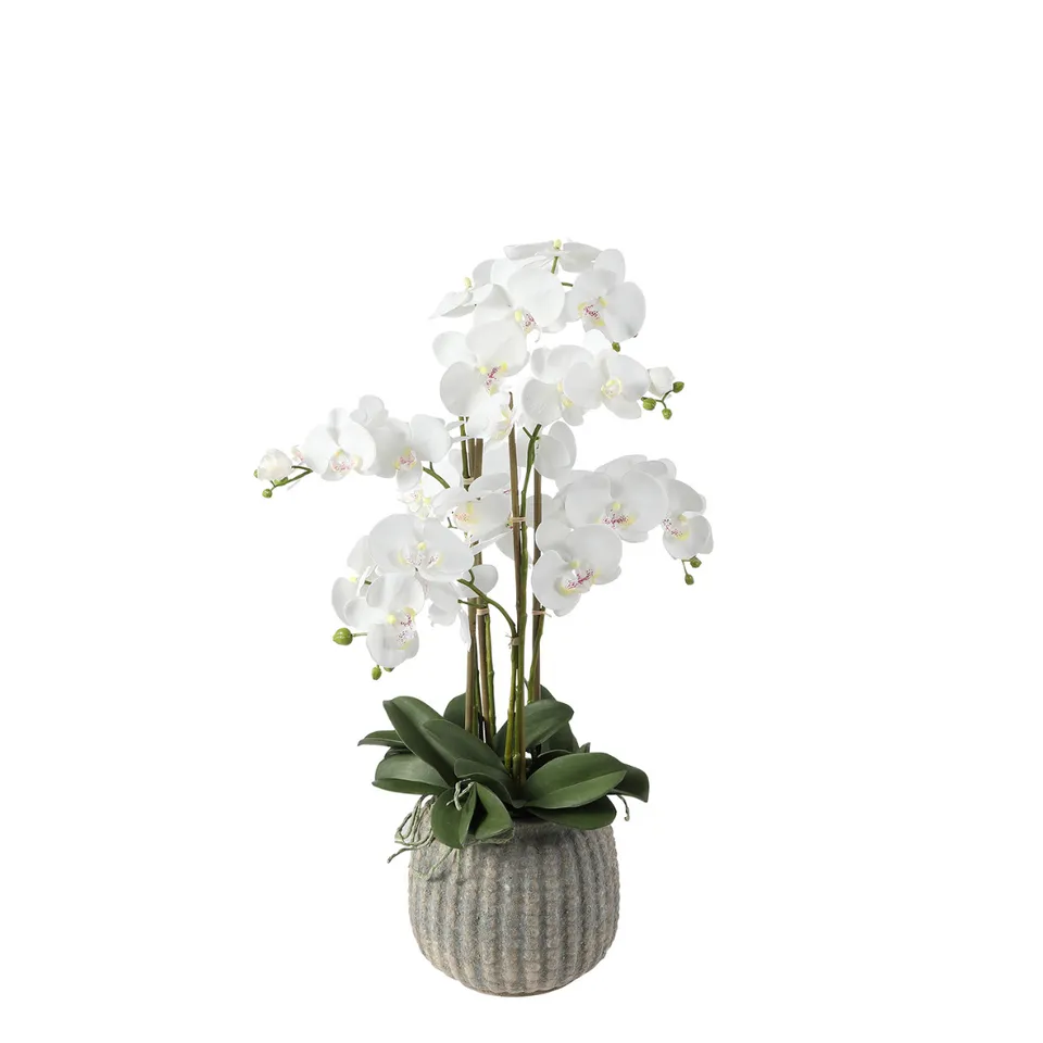 Sia Home Orchidée artificielle blanche 75 cm vase gris