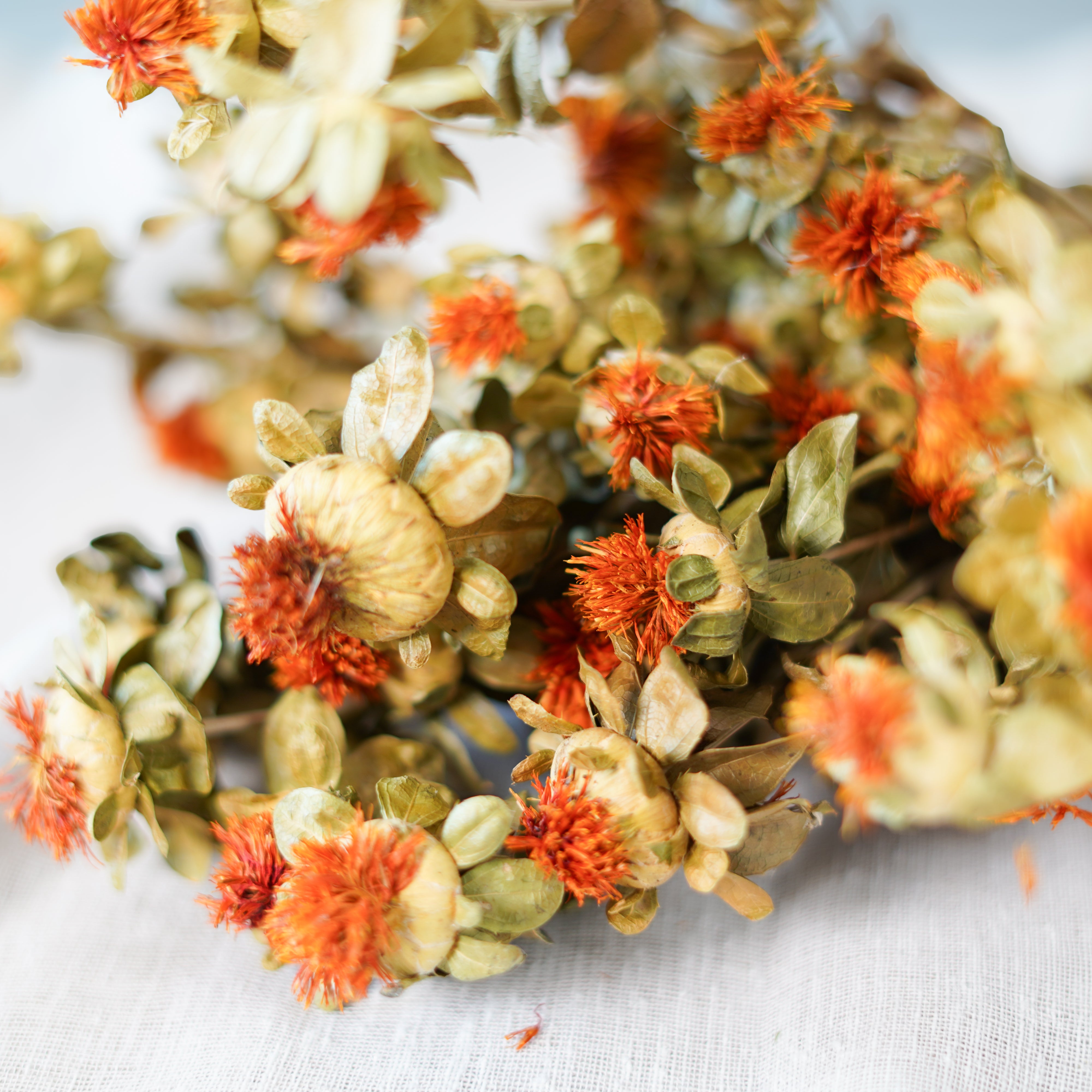 Flowrette Carthame fleurs séchées botte orange x1