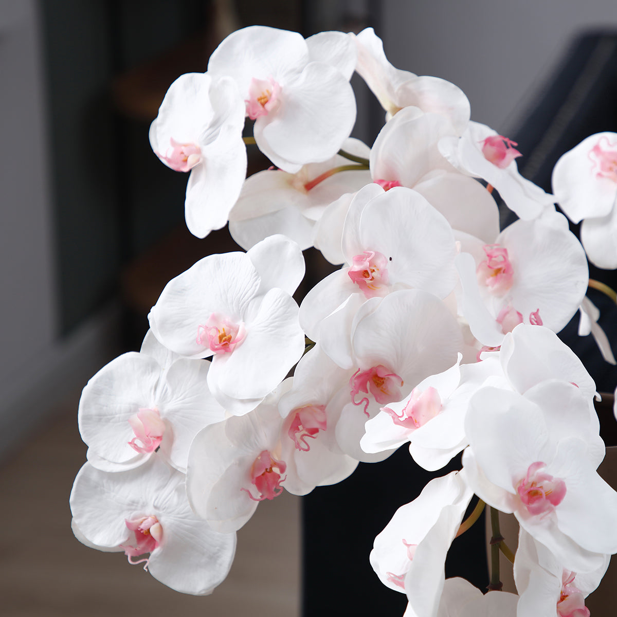 Sia Home Bandailan tige orchidée artificielle blanc rose 66 cm