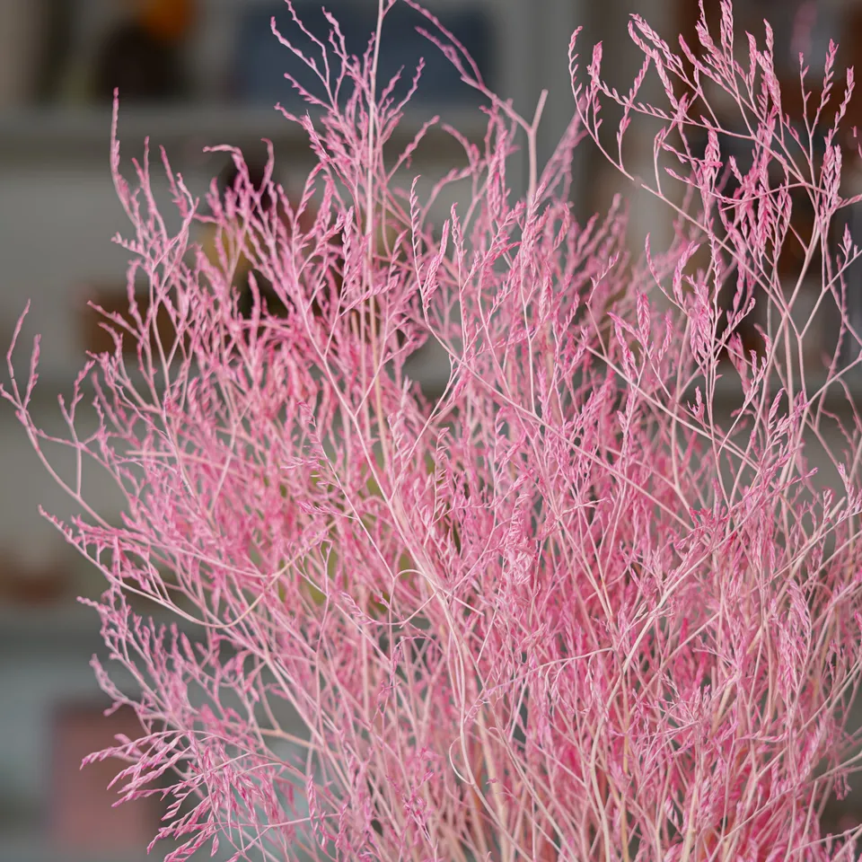 Flowrette Statice Marina Rose botte séchée x1 tendre
