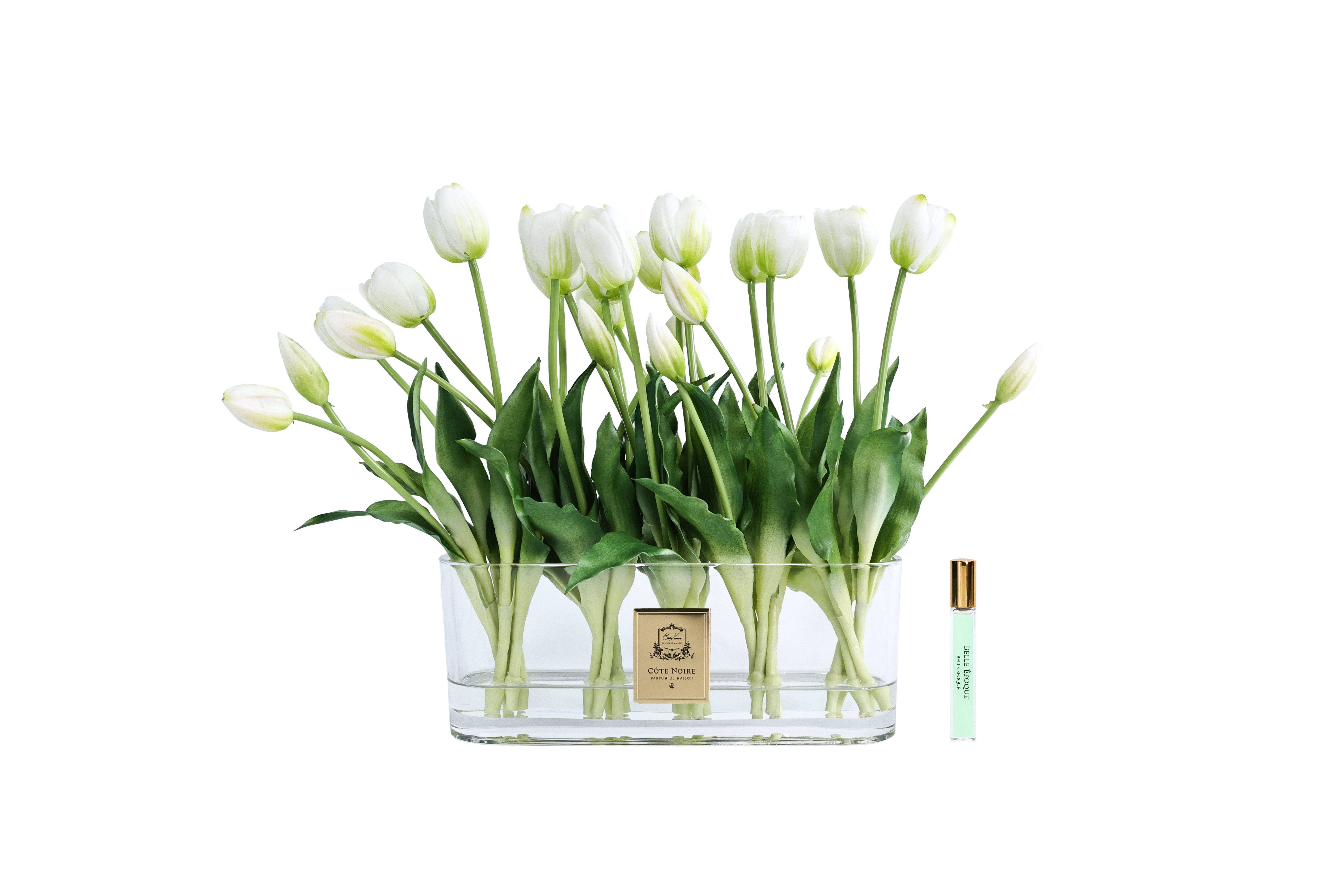 Côte Noire Perfumed Flowers OT01 tulipes blanches vase ovale
