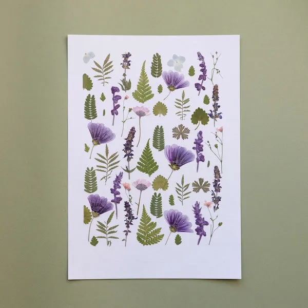 Flowrette Fleurs séchées Herbarium Plant Symphony A4 pressé