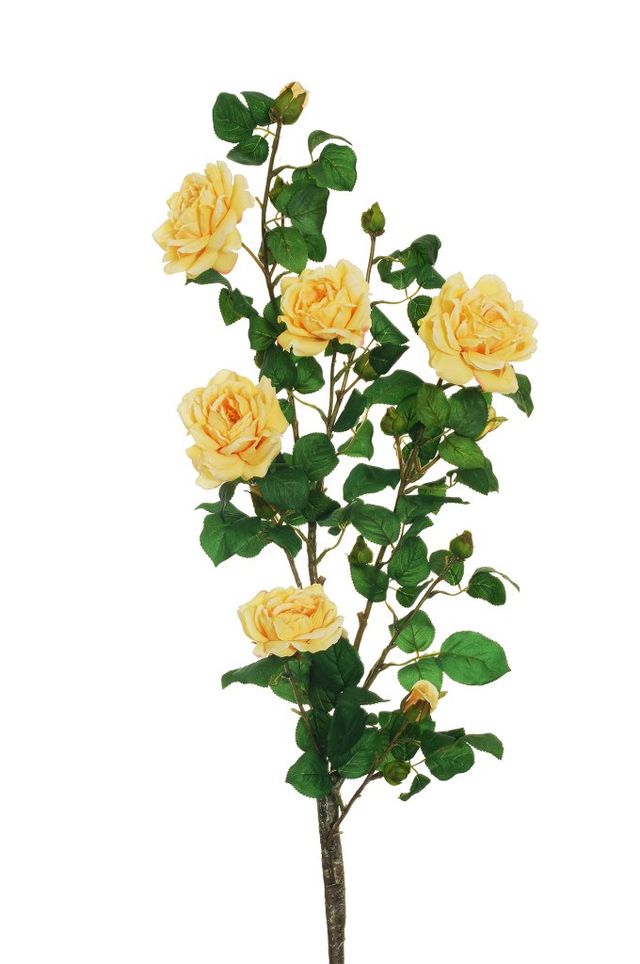 Feuillazur Rungis Rose de jardin sur tige saumon 103 cm