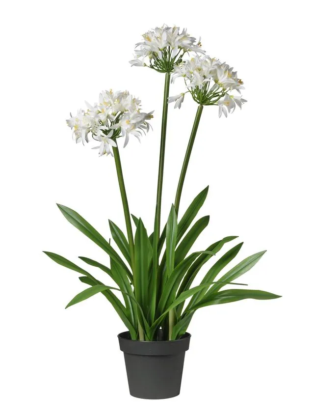 Feuillazur Rungis Fleur de lotus fleur artificielle blanc 100cm pot