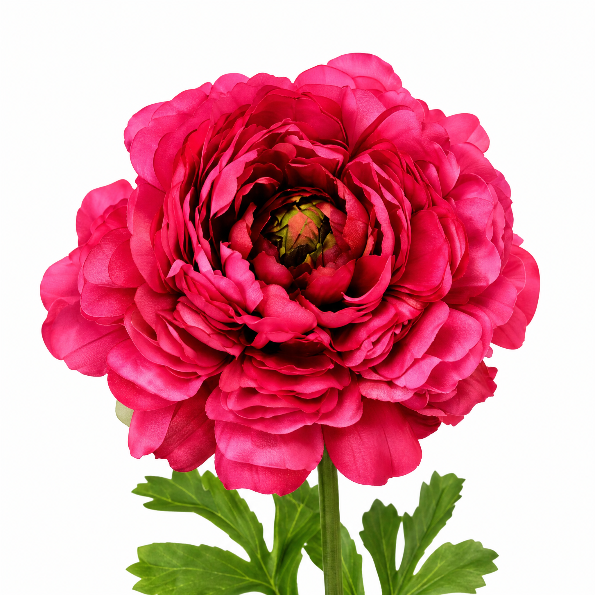 Sia Home Renoncule Nora tige artificielle rose pâle