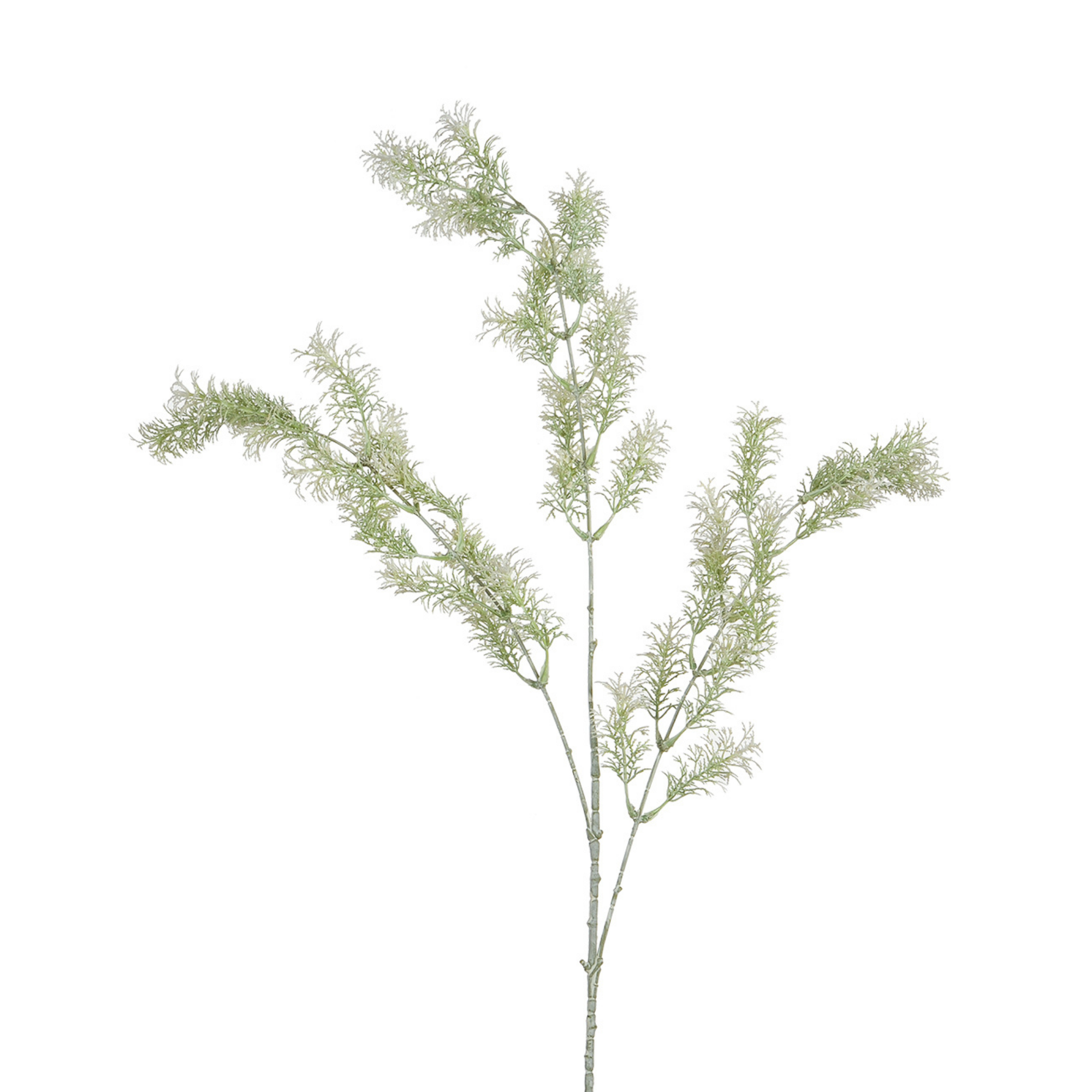 Sia Home Tige de Ming Fern 93 cm fleur artificielle verte