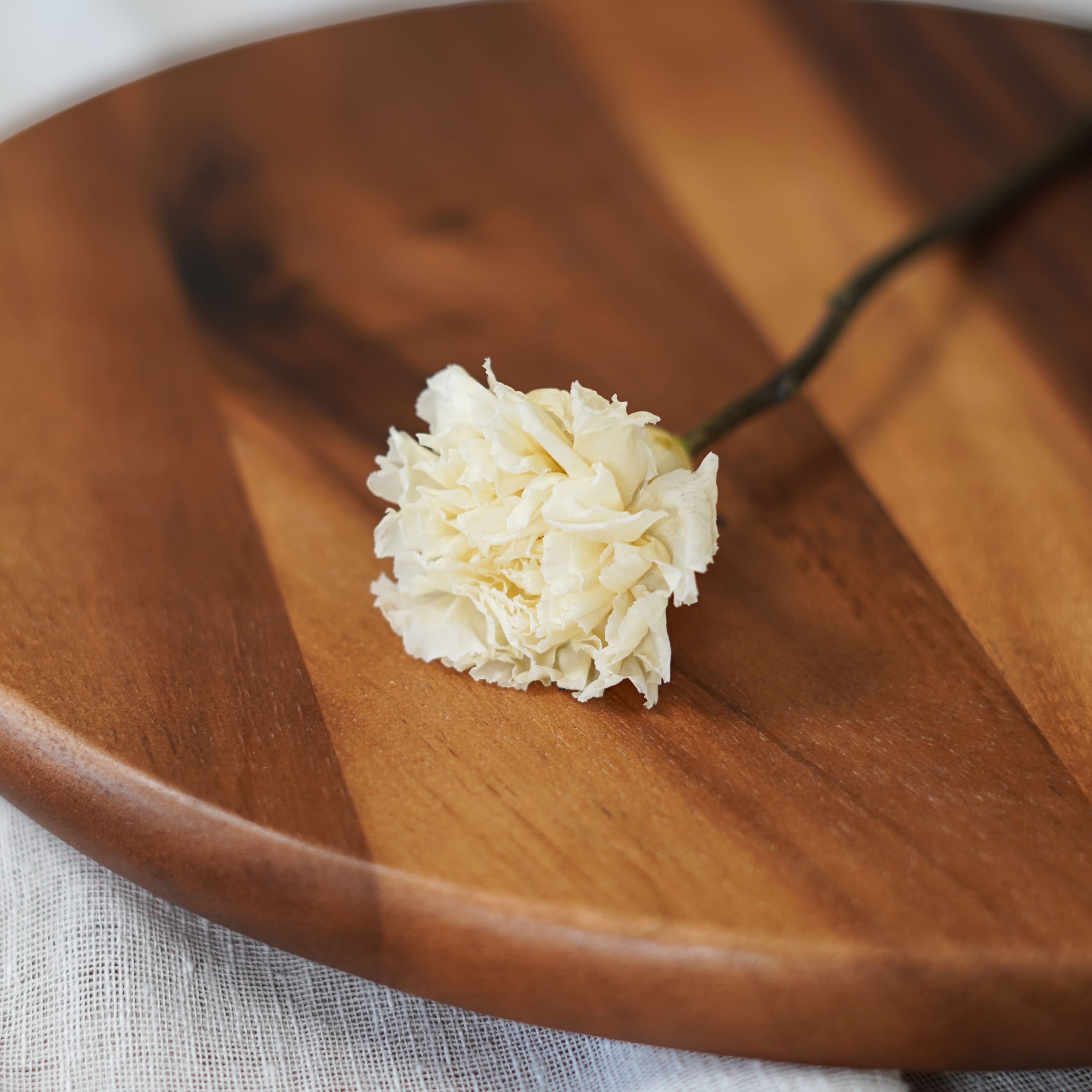 Flowrette Fleurs stabilisées Oeillet ivoire x1 naturel durable
