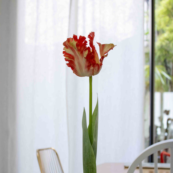 Flowrette Tulipe Perroquet Orange artificielle Real Touch